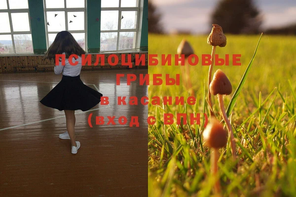 гидра Аркадак