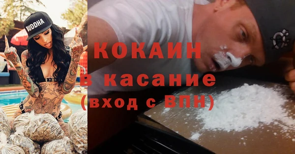 гидра Аркадак
