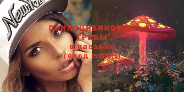 гидра Аркадак